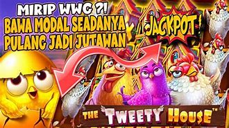 The Tweety House Slot Hari Ini Live Streaming Youtube Live Streaming